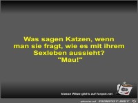 Was sagen Katzen, wenn man sie fragt, wie es mit ihrem...