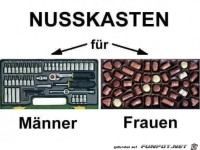 Nusskasten