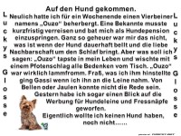Auf den Hund gekommen