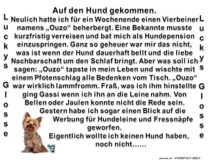 Auf-den-Hund-gekommen.jpg auf www.funpot.net