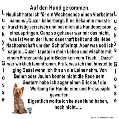 Auf-den-Hund-gekommen.jpg von lucky