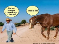 Lustiger Wortwechsel zwischen Mann und Pferd