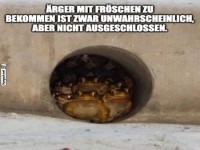 Frsche im Geheimgang: Die groe Verschwrung!