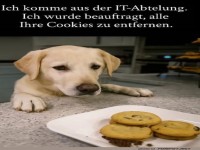 Der IT-Hund und die Cookie-Mission