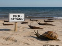Nackt und Schneckenhaft am Strand!