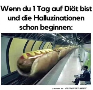 fun-Bild: Hotdog-Express auf Diätreisen