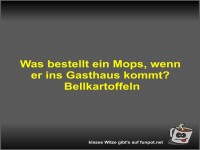 Was bestellt ein Mops