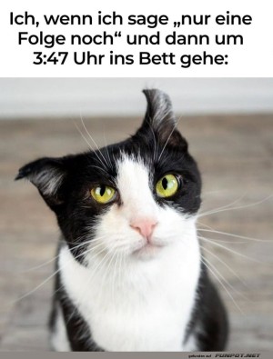 Wenn-Netflix-zur-n�chtlichen-Herausforderung-wird.jpg auf www.funpot.net