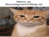 weiter