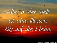 Alles in der Welt ist eine Illusion