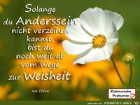 Solange du anderssein