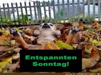 Entspannten Sonntag