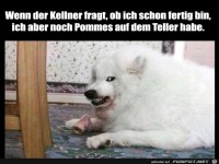 Wenn der Kellner schon abr�umen will