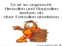 es ist so ungerecht!.......