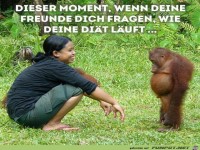 Wenn die Dit schlecht luft...