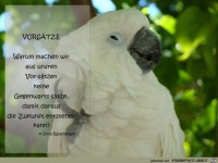 warum machen wir aus unsren vorsaetzen