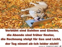 Wie h�bsch gedichtet