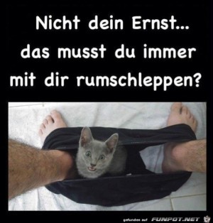 Nicht-dein-Ernst.jpg auf www.funpot.net