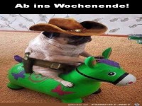 Freitag - ab ins Wochenende