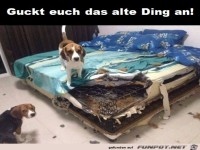 Guckt euch das alte Ding an