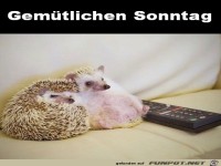 Gem�tlichen Sonntag