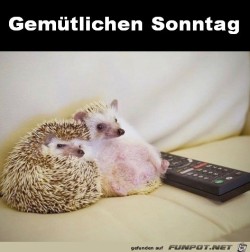 Gemtlichen-Sonntag.jpg auf www.funpot.net