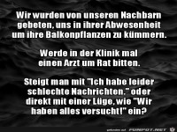 Urlaubsvertretung f�r Pflanzen