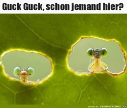 Hallo.jpg auf www.funpot.net