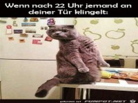 Wer klingelt noch so sp�t?