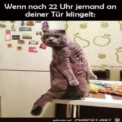 Wer-klingelt-noch-so-sp&auml;t?.jpg von Karan