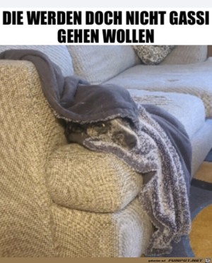 Gut-getarnt.jpg auf www.funpot.net
