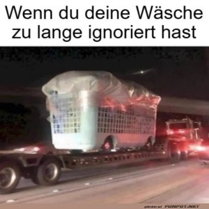 Riesen-Wschekorb-auf-der-Autobahn.jpg von Celina93
