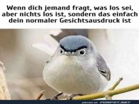 Mein Gesicht