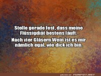 Fl�ssigdi�t in Perfektion!