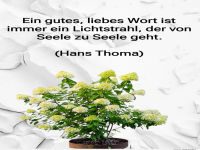 ein gutes liebes wort