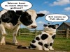 weiter