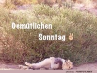Gemütllichen Sonntag