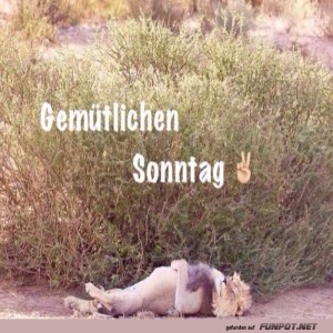 Gemütllichen-Sonntag.jpg von Gabriel