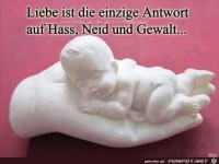 Liebe ist die einzige Art