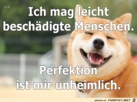 ich mag leicht beschaedigte Menschen