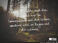 wahre-freunde-sind-die-die-nicht-nur-im-sonnenschein-mit-dir