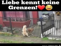 Liebe kennt keine Grenzen