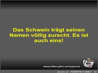 Das Schwein tr�gt seinen Namen v�llig zurecht