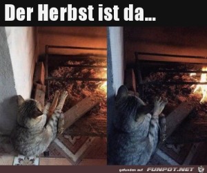 Im-Herbst.jpg auf www.funpot.net