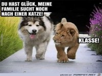 Glck gehabt