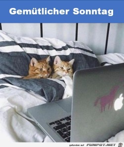 Gemütlicher-Sonntag.jpg auf www.funpot.net