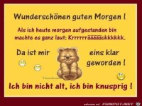 guten Morgen