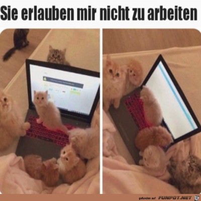 Heute-ist-arbeitsfrei.jpg von Clara