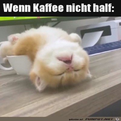 Der-Kaffee-war-nicht-stark-genug.jpg von Pola