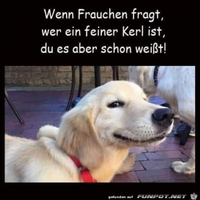 Feiner-Kerl.jpg von Keule56